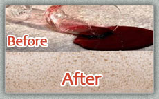 Carpet Cleaning